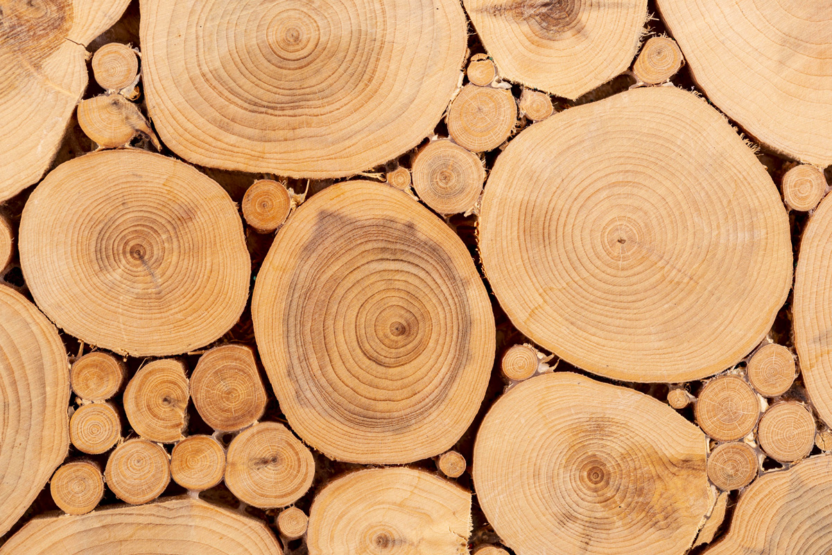 Construction bois : qualité de vie.